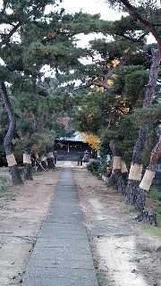 添付画像