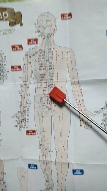 添付画像