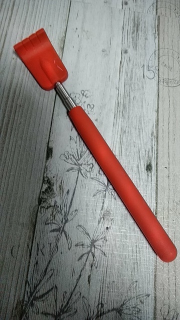 添付画像