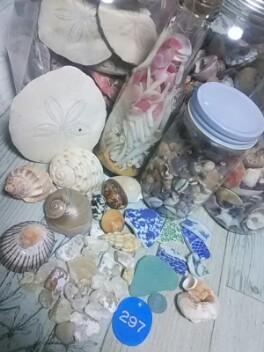 添付画像