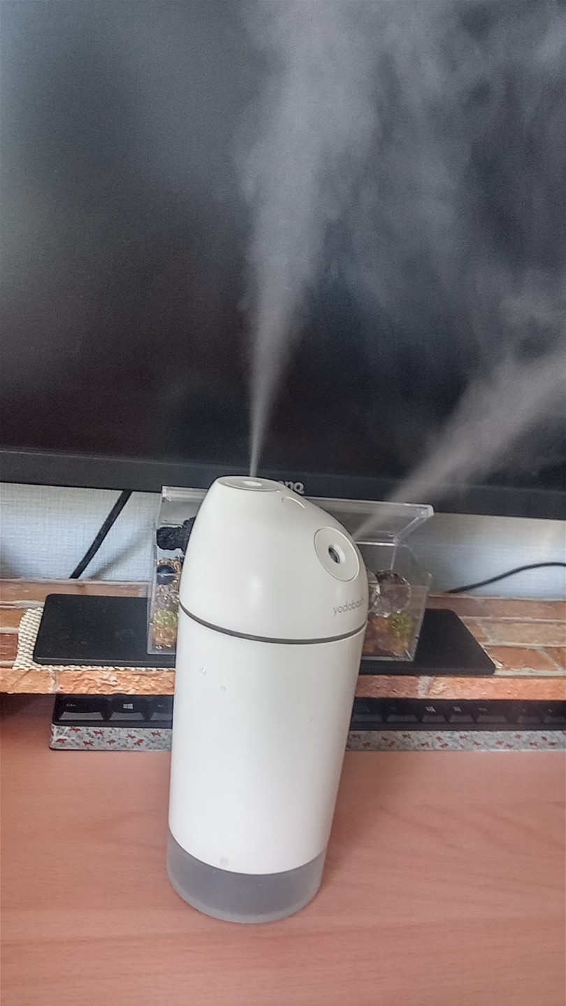 添付画像