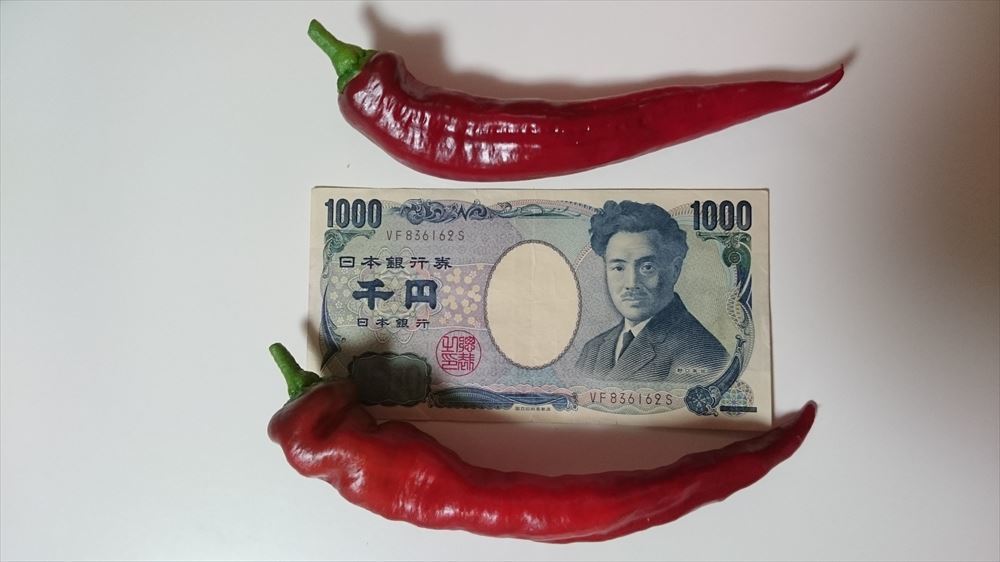 添付画像