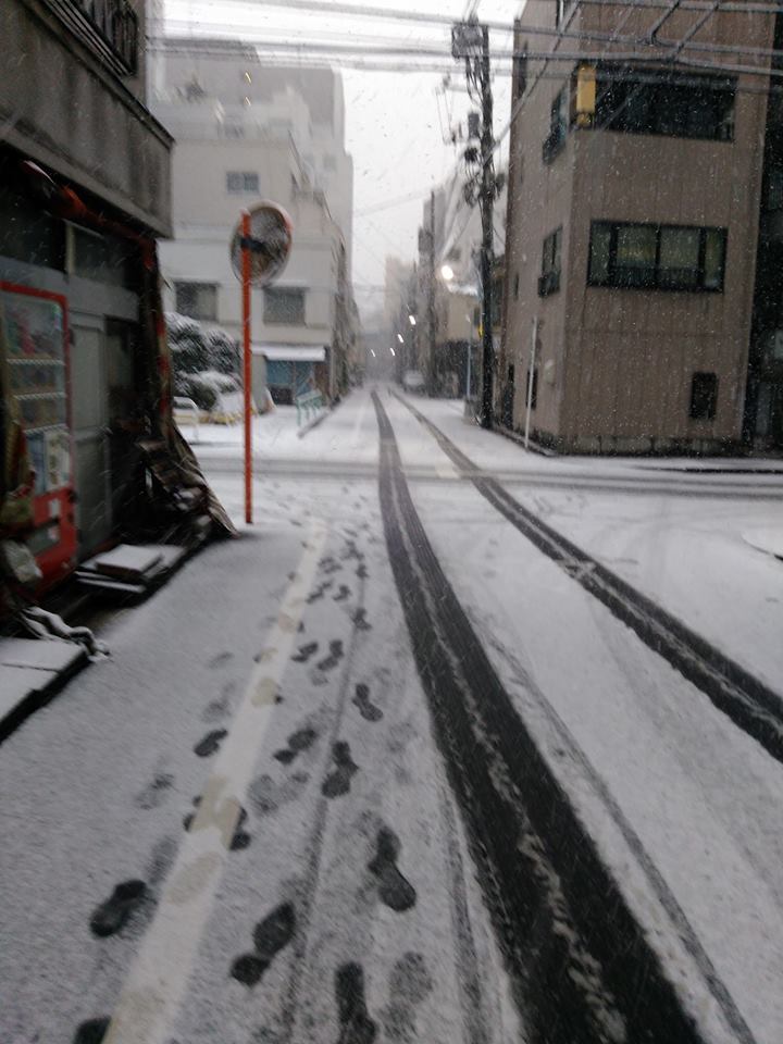 添付画像
